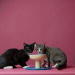 The New Smallserve Bowls from Smalls Keep It Clean