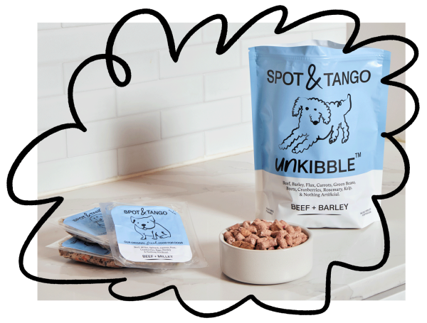 Tired of Traditional Kibble? Why Spot & Tango Is a Healthier Option