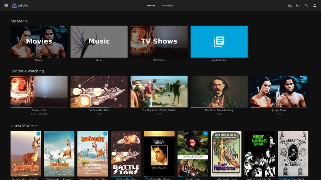 JellyFin is the best Plex alternative, and it’s finally expanding to more TVs