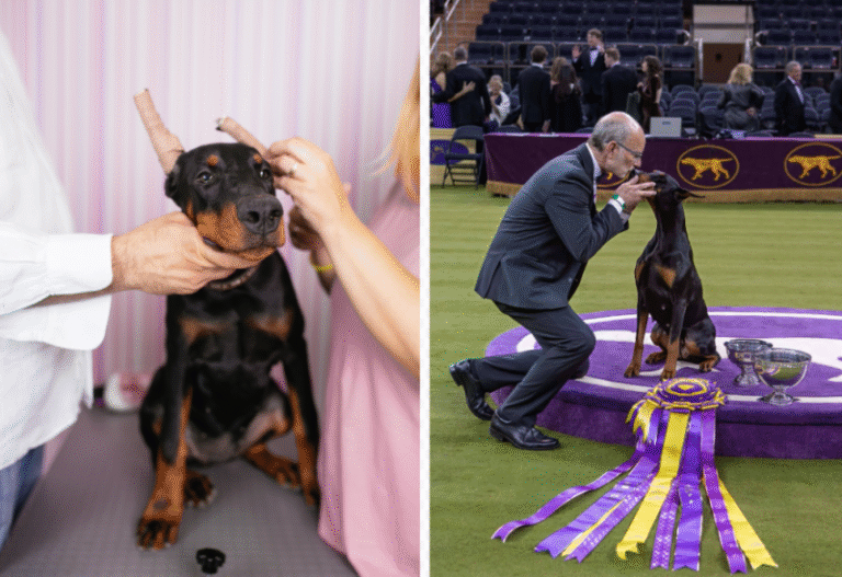 The Real Price of Success