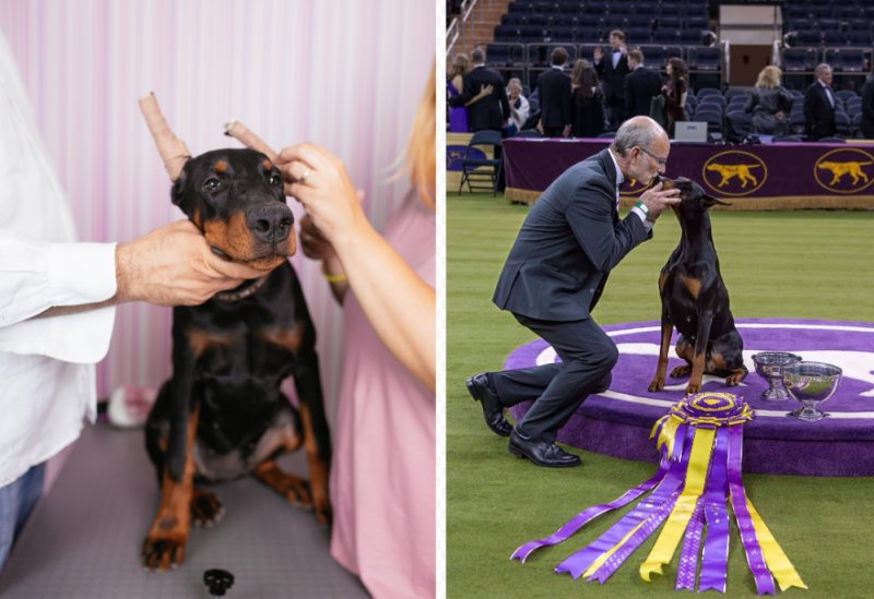 The Real Price of Success