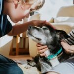 When Is A Pet Considered “Senior”? Vets Explain What Changes, & What You Can Do