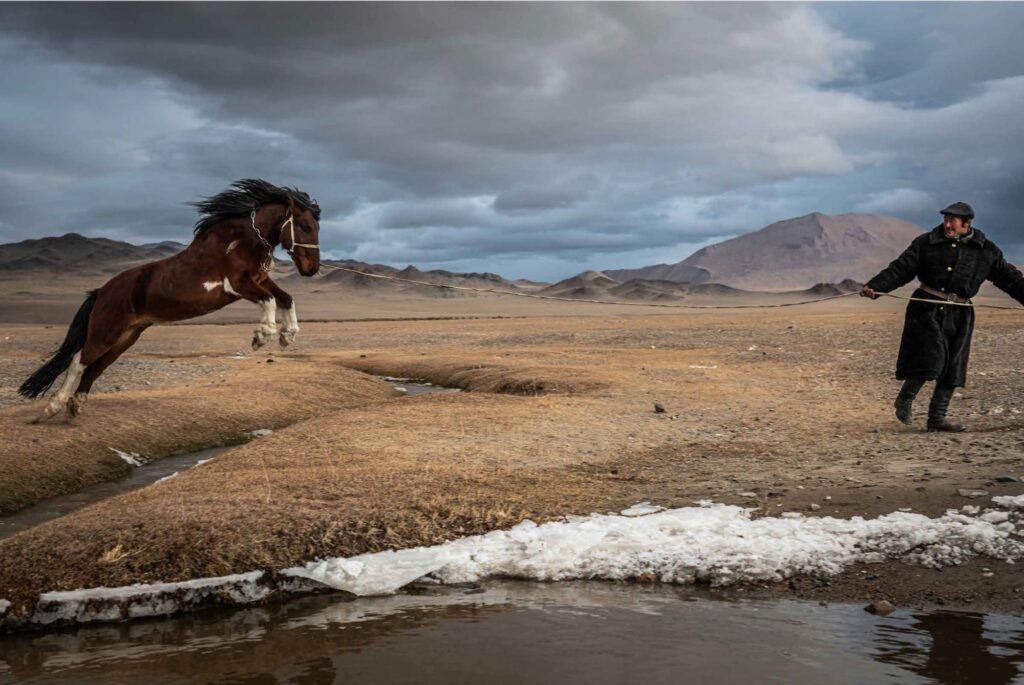 In ‘Altai,’ Photographer Claire Thomas Chronicles a Time-Honored Way of Life in Mongolia