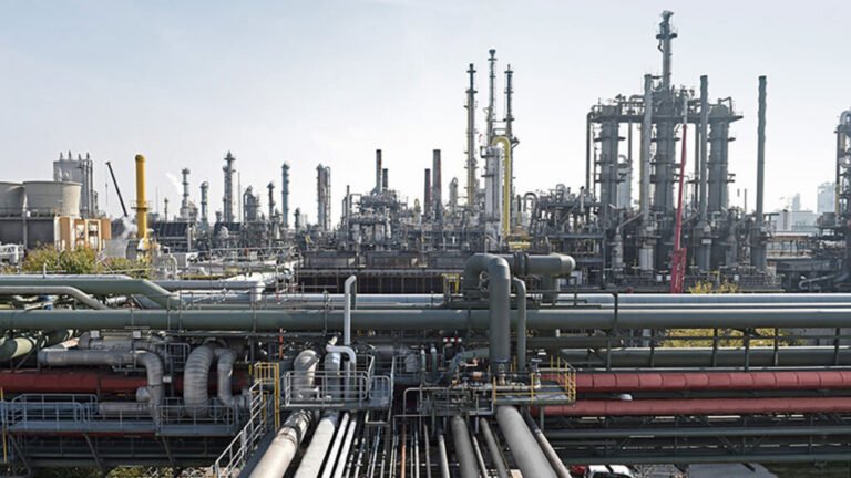 Meet the Mysterious Electrides