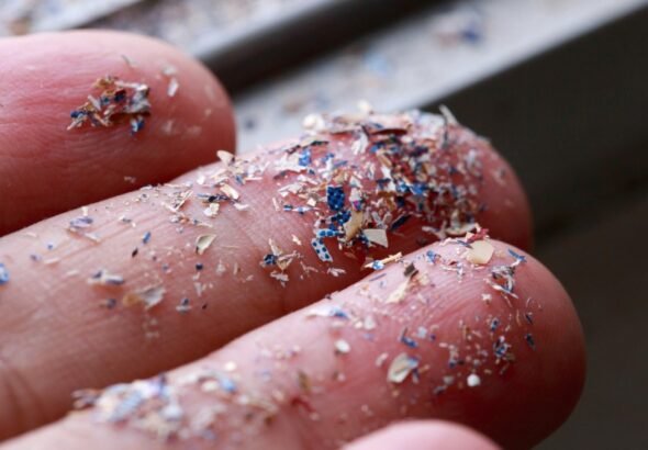 Microplastics found in higher levels in prostate tumor tissue: Research