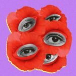 I'm 43 & My Eyelids Look Like Labias