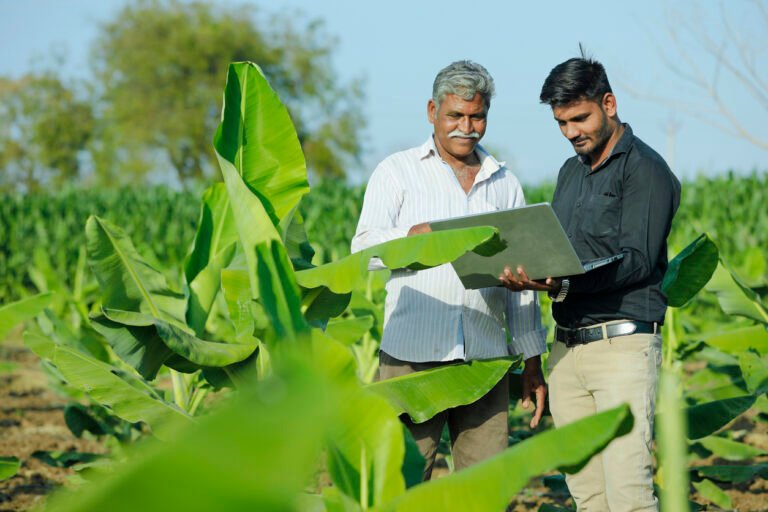 AI in India: The world’s ‘AI back office’ is betting on small language models to bring big impact to smallholder farming