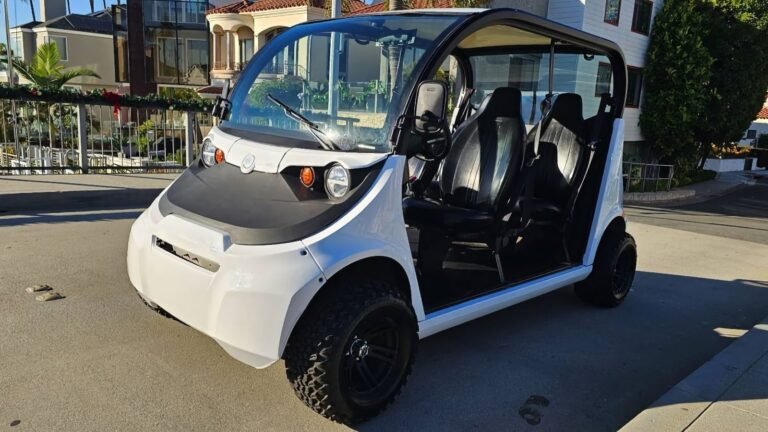 At $10,500, Would You Rule The Neighborhood In This 2019 GEM E4 NEV?