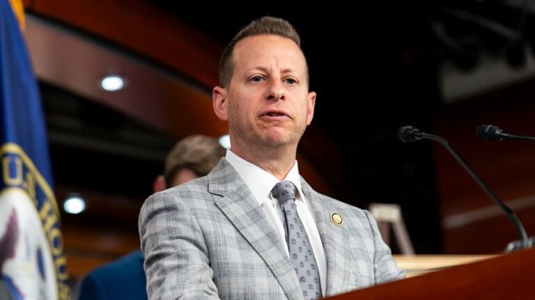 House Democrat: Mamdani's proposed wealth taxes 'not going to work'