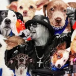 Puppies, not politics, won Super Bowl Sunday