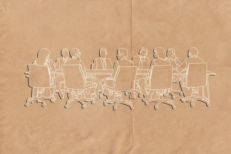 Are women board members risk averse or agents of innovation?