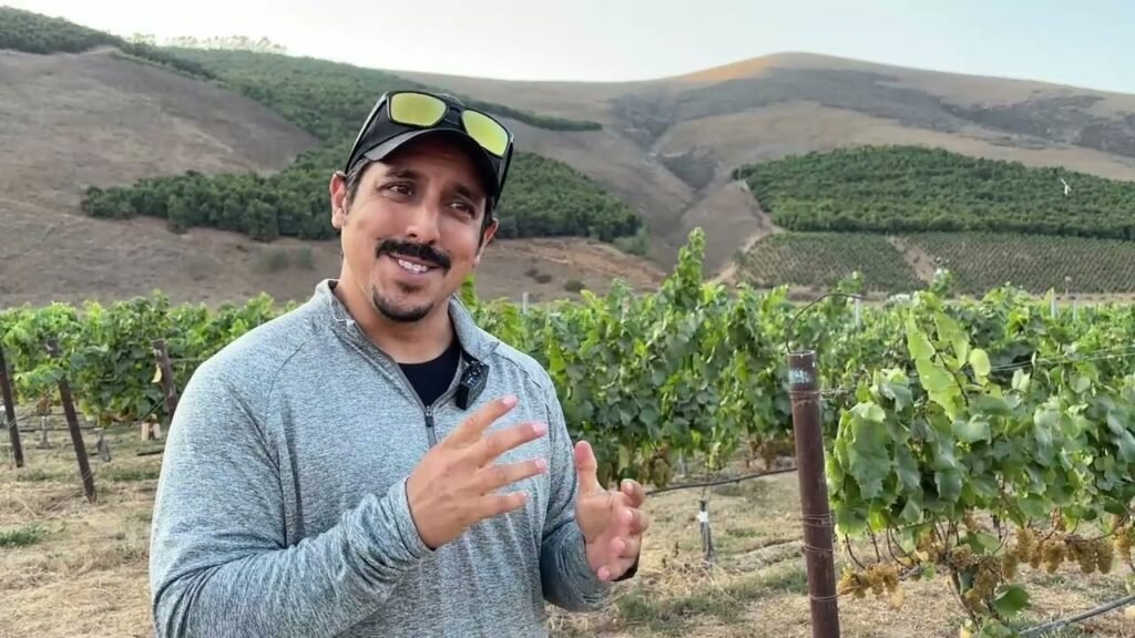 Saga Robotics bets big on US vineyards with new GM, fresh capital for UV-C ‘bots: ‘Chemical free winegrowing is the holy grail’