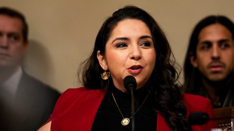 House Democrat: DHS is 'greatest threat to the homeland right now'