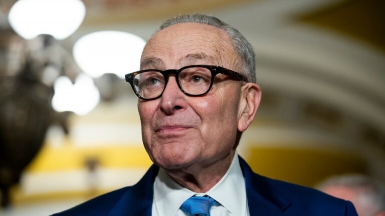 Schumer on Dems’ DHS demands: ‘These are common sense’