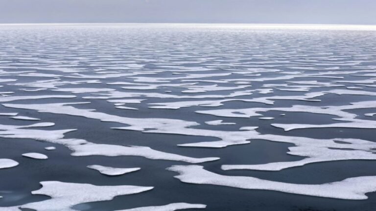 Arctic sea ice at lowest recorded winter level as heat records smashed