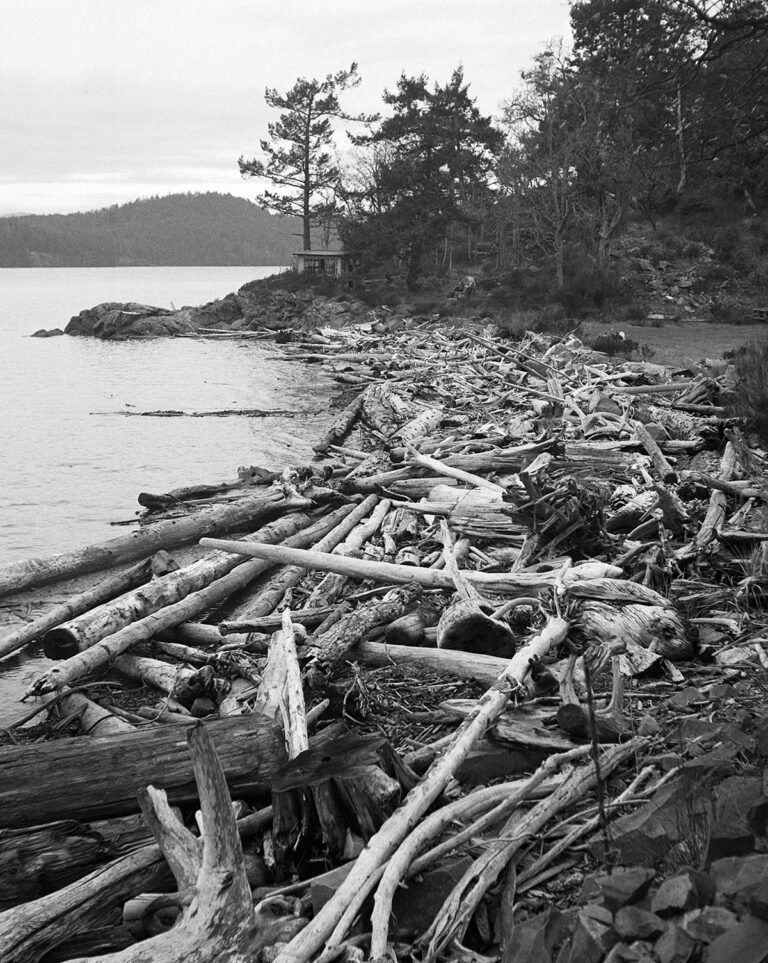“Tree Work” by Photographer Reave Dennison