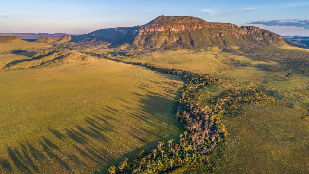 These Underprotected Brazilian Wetlands Store Carbon with Staggering Density