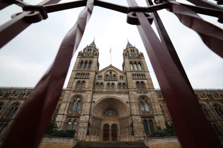 UK Museums Hold Over 260,000 Human Remains, Report Finds