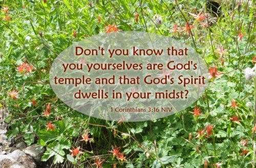 Together, We Are God’s Temple – 1 Corinthians 3:16-17