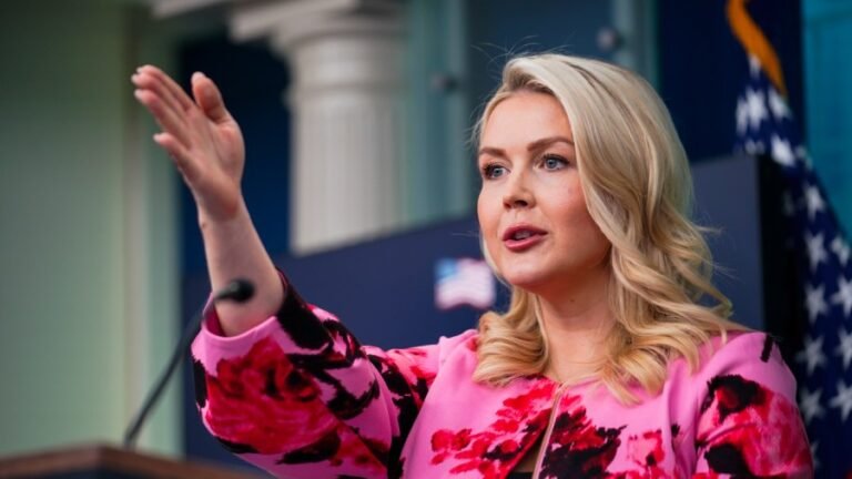 Leavitt on Trump’s TSA order: ‘It should not have come to this point’