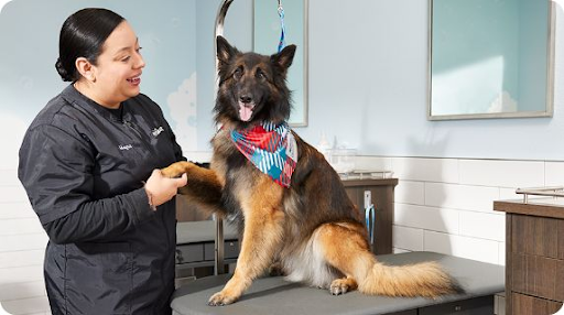 Stock Up, Look Sharp, and Save While You Shop at PetSmart