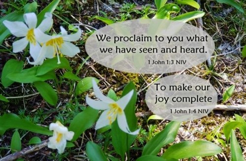 Making Our Joy Complete – 1 John 1:3-4
