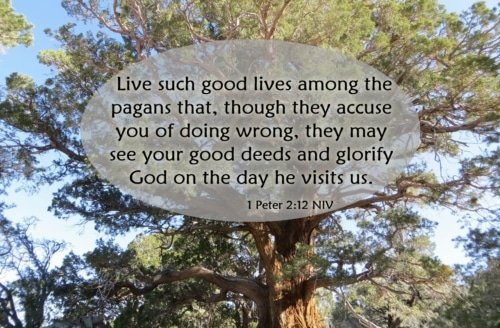 Living Among the Pagans – 1 Peter 2:12