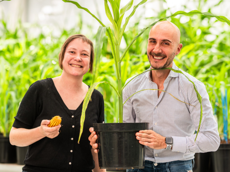 AgriFood Signals: Syngenta ditches paraquat, TARGAN bags $100m for animal health, AeroFarms for sale