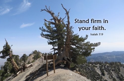 Stand Firm in Your Faith – Isaiah 7:9