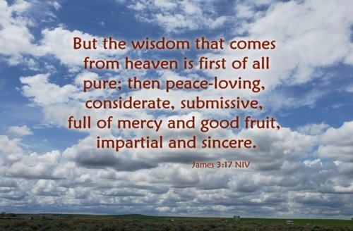 Wisdom that Comes from Heaven – James 3:17-18