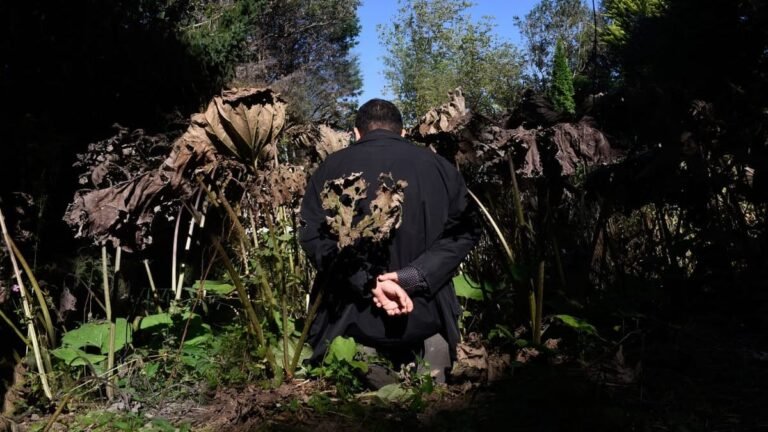 Ali Eyal’s Forever War