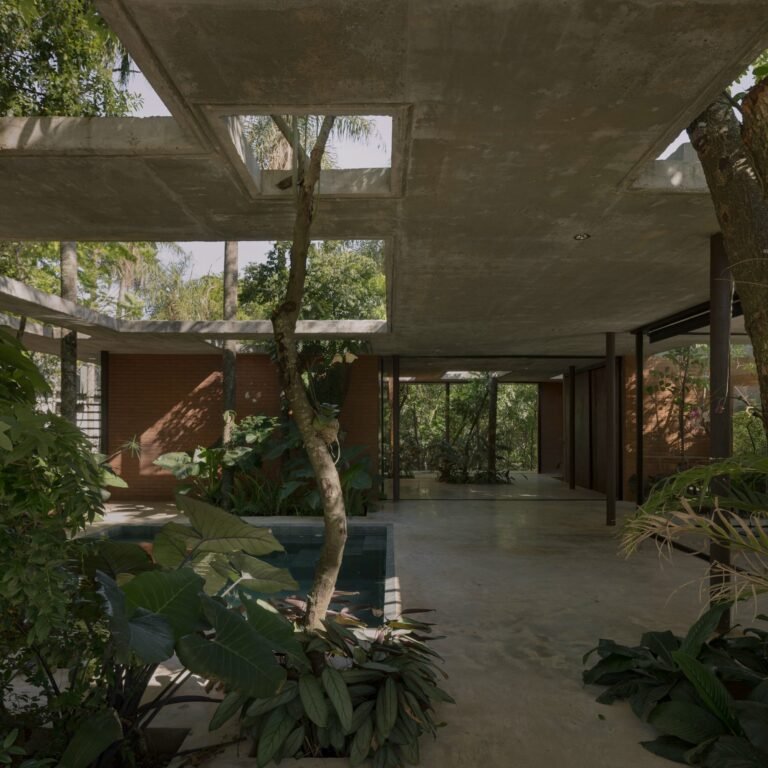 In Paraguay, Architecture Doesn’t Come at the Expense of Nature at ‘Un Bosque en La Casa’
