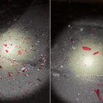 Suspect Arrested for $240,000 Damage to Chihuly Glass Artworks