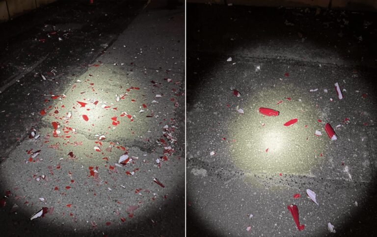 Suspect Arrested for $240,000 Damage to Chihuly Glass Artworks