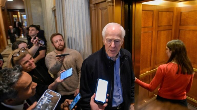 The May shootout at the Texas corral: RINO meets MAGA 