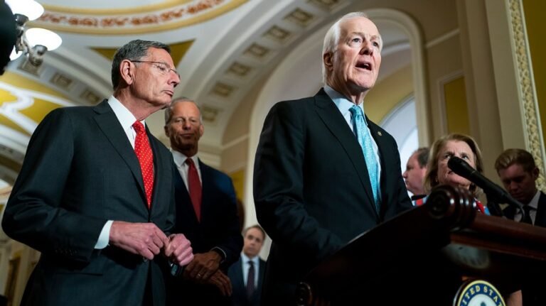 Senate Republicans urge Trump to back Cornyn in Texas runoff