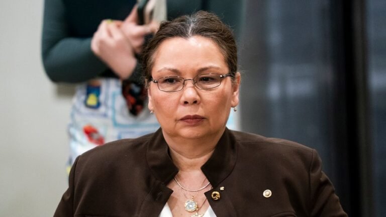 Senate Democrat calls for investigation into Texas drone incidents