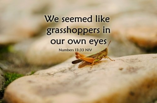 Like Grasshoppers in Our Own Eyes – Numbers 13:33