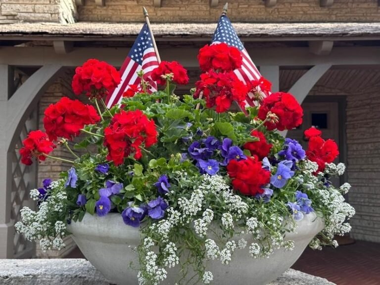 March Madness and Gardening