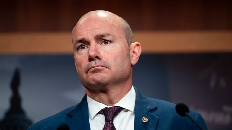 Lee calls on Senate to ditch spring recess, reconvene to fund DHS