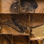 In Cardboard and Gold, Narsiso Martinez Highlights the Workers of American Agriculture