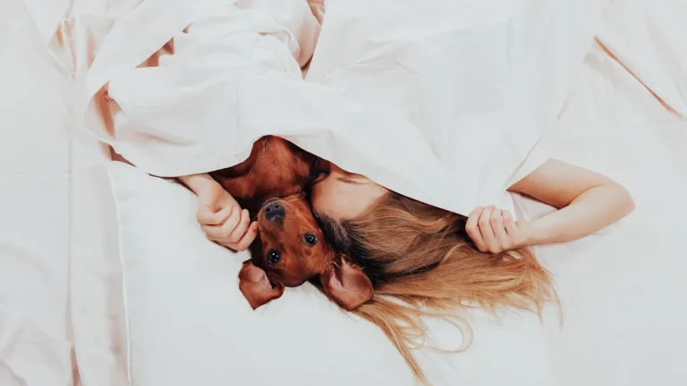 Bad news: Your pets may be ruining your sleep