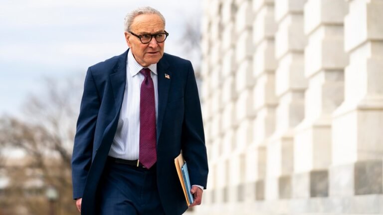 Schumer faces discontent from Democrats running for the Senate