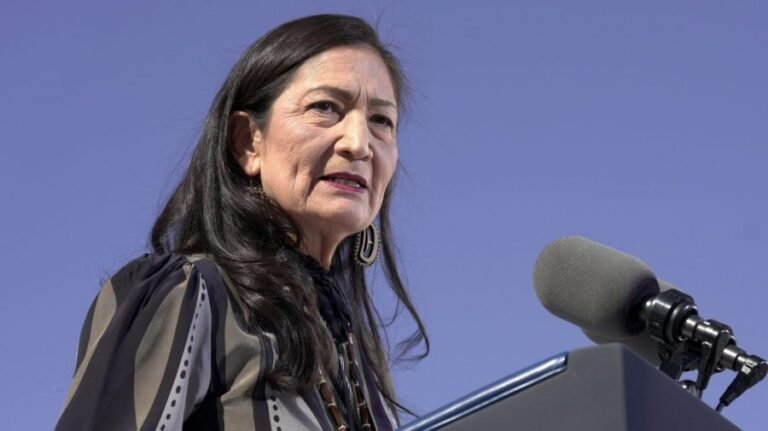 Haaland leads Democratic primary for New Mexico governor: Poll 