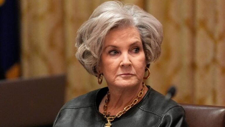 Susie Wiles creates official X account 'to share occasional updates'