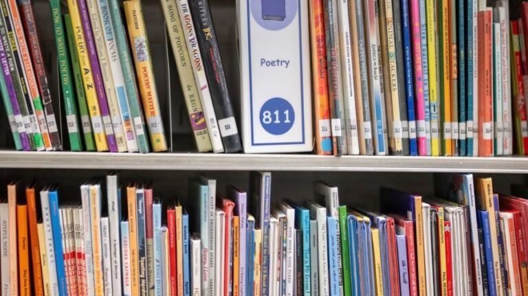 Tennessee librarian fired for refusing to move LGBTQ books from children's to adult section