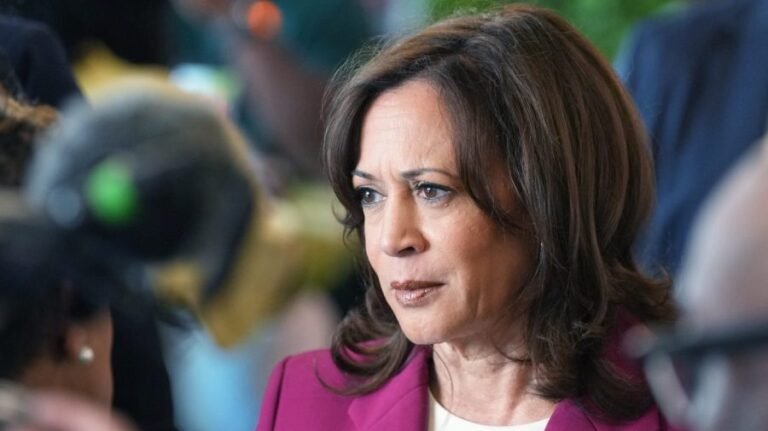 Harris hammers Trump over gas prices amid 'war of choice'