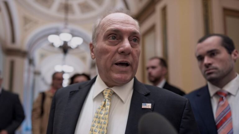 Conservative 'Squawk Box' host tussles with Scalise over gas prices 