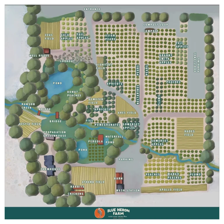 How a ‘black market CSA’ became a 10-acre regenerative farm building food security in Eastern California