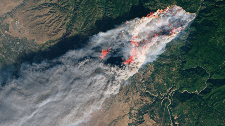 Weather Radar Data Reveal the Dynamics of Rapidly Spreading Wildfires
